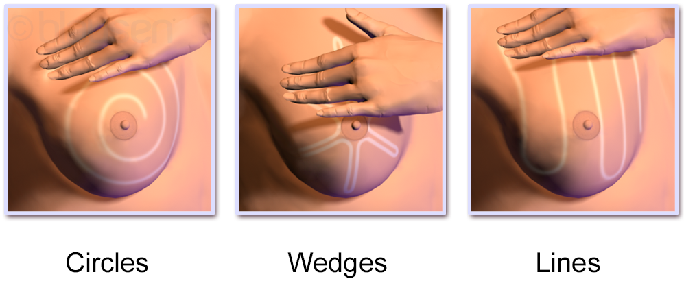 Methods of Breast Examination